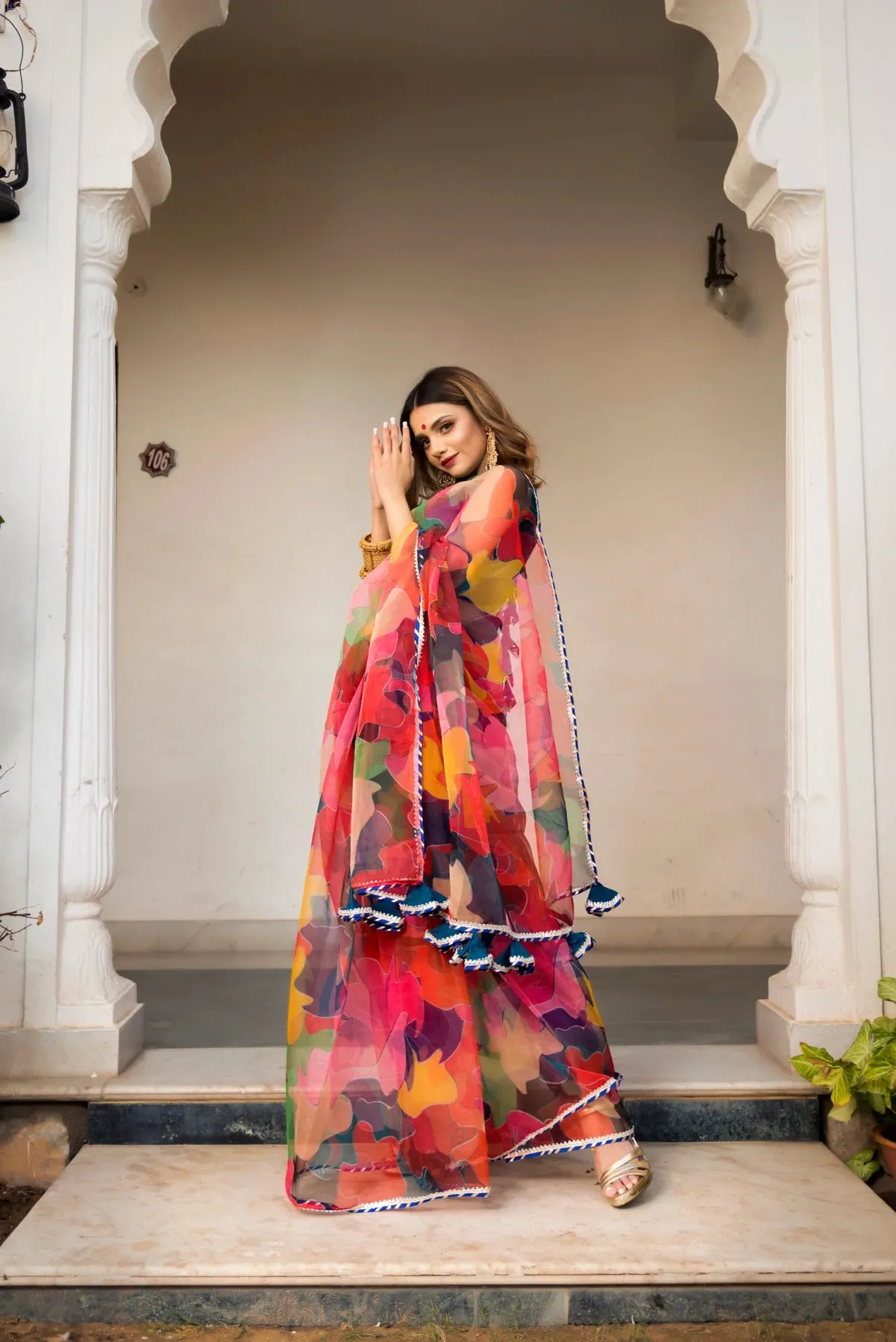 Organza Multi Color Saree with Taffeta Blouse